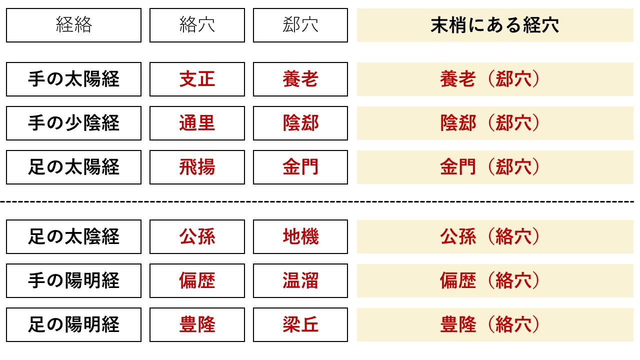 勉強会開催報告】 2024年7月7日開催 経絡経穴概論 » 鍼灸国家試験対策ラボ